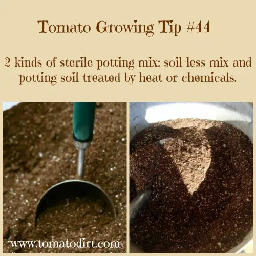 Tomato Growing Tip: 2 kinds of sterile potting mixes for growing tomatoes. With Tomato Dirt.