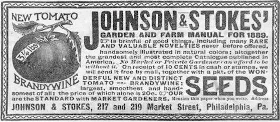 Johnson & Stokes Brandywine tomato ad 1889