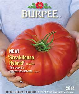 Burpee Seed Catalog with Tomato Dirt