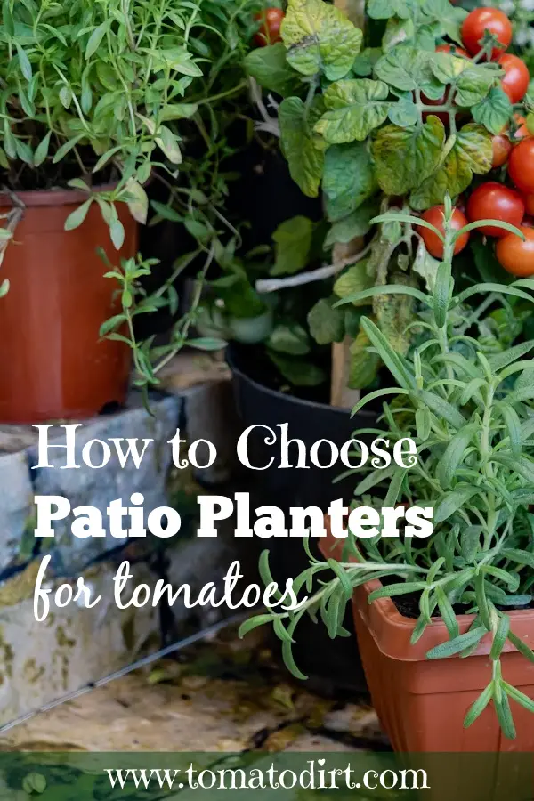 What to look for in a patio planter for tomatoes with Tomato Dirt #HomeGardening #SmallSpaceGardening #GrowTomatoes