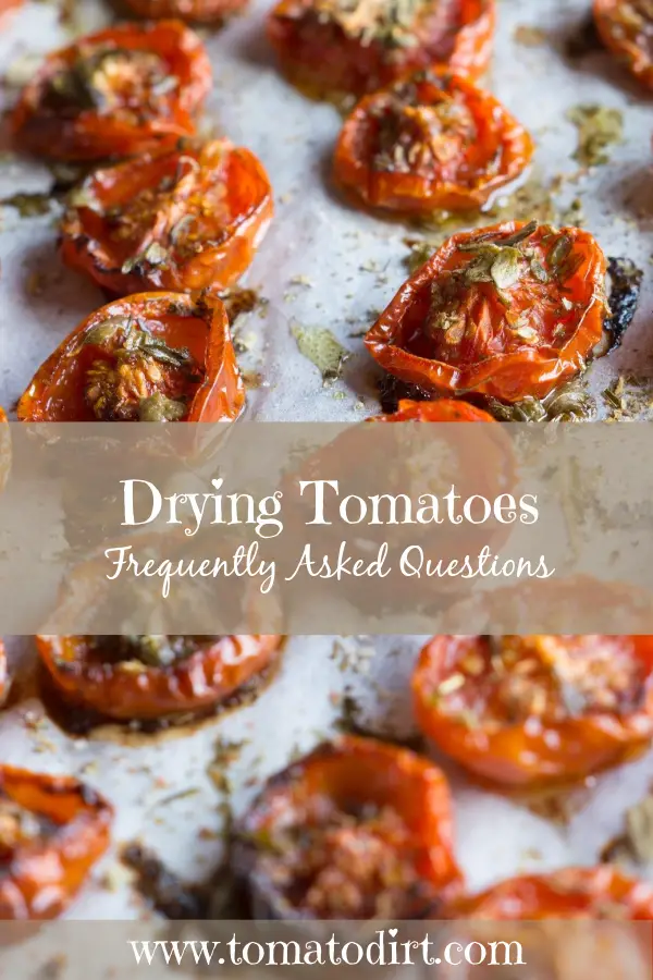 Drying tomatoes: FAQs with Tomato Dirt #HomeGardening #GrowingTomatoes