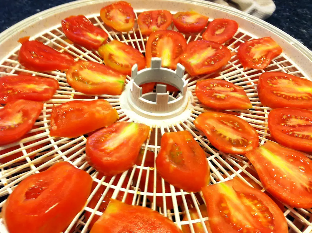 Food dehydrators explained with Tomato Dirt