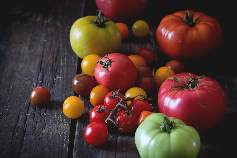 Fun Tomato Facts with Tomato Dirt