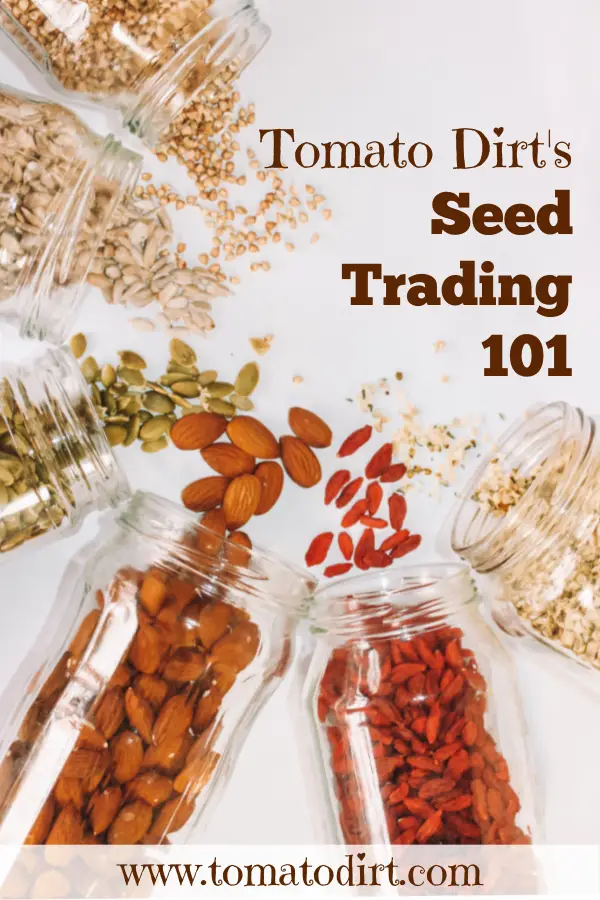 Seed Trading 101 with Tomato Dirt #GrowTomatoes #HomeGardening
