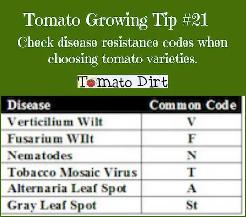 Tomato Growing Tip #21: check tomato disease resistance codes as you choose tomato varieties to grow. More gardening tips with Tomato Dirt #growtomatoes