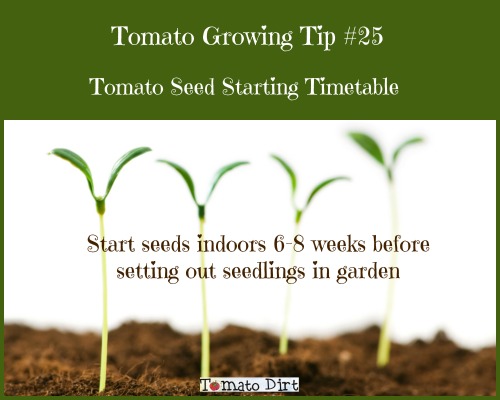 Tomato Seed Growth Chart