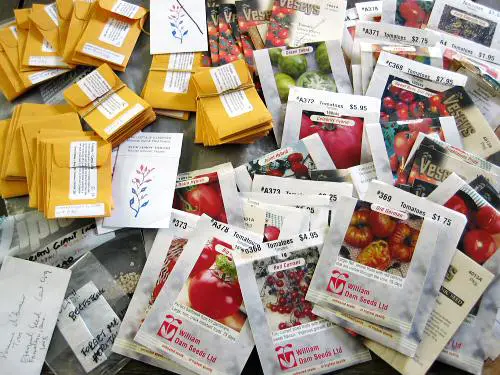 Tomato seed packets from Tiny Farm Blog with Tomato Dirt