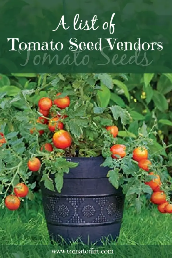 A list of tomato seed vendors with Tomato Dirt #GrowingTomatoes #GrowTomatoes #HomeGardening