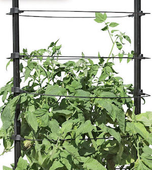 Tomato Cages and Supports at Gardeners Supply via Tomato Dirt