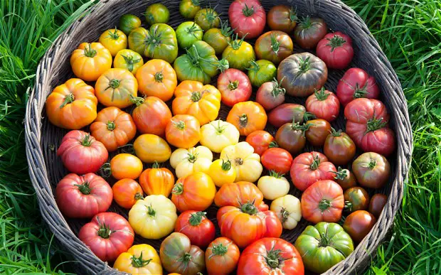 The Great Tomato Quiz via Tomato Dirt