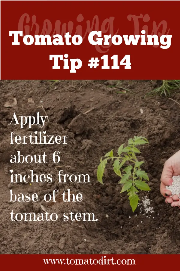 1140tip-apply-fertilizer-6-in-from-stem