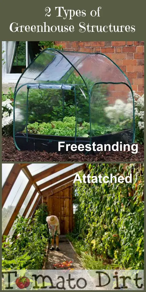 2 types of greenhouse structures with Tomato Dirt