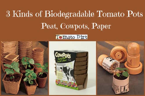 3 kinds of biodegradable tomato pots with Tomato Dirt