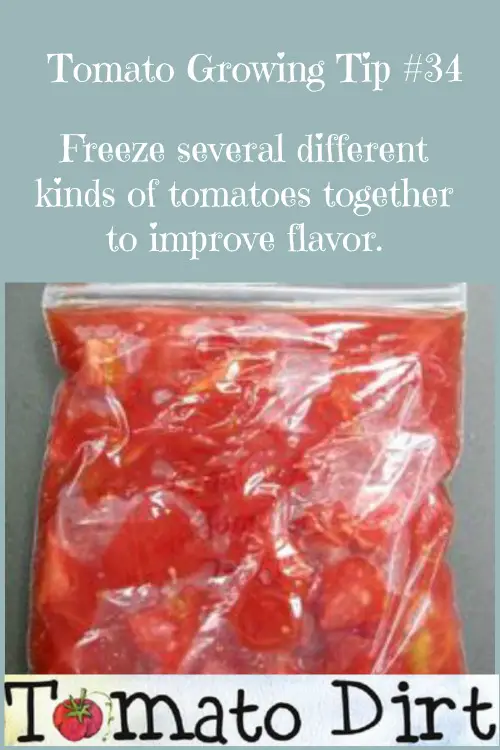 Freezing Tomatoes FAQs with Tomato Dirt #GrowingTomatoes #UsingTomatoes