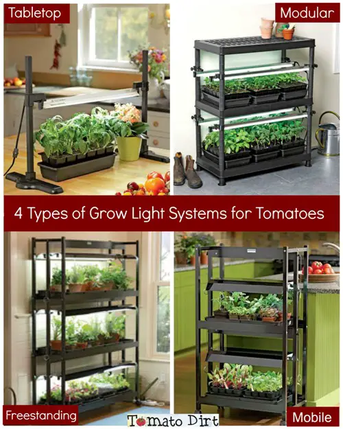 Baby sigte bekymre Choosing A Grow Light System for Growing Tomatoes From Seed