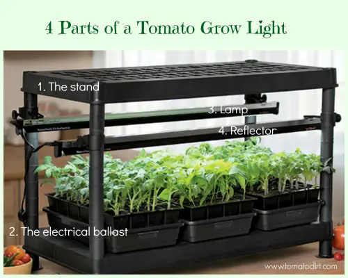 4 parts of a tomato grow light with Tomato Dirt