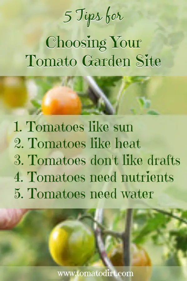 5 tips for choosing a home garden site for tomatoes with Tomato Dirt