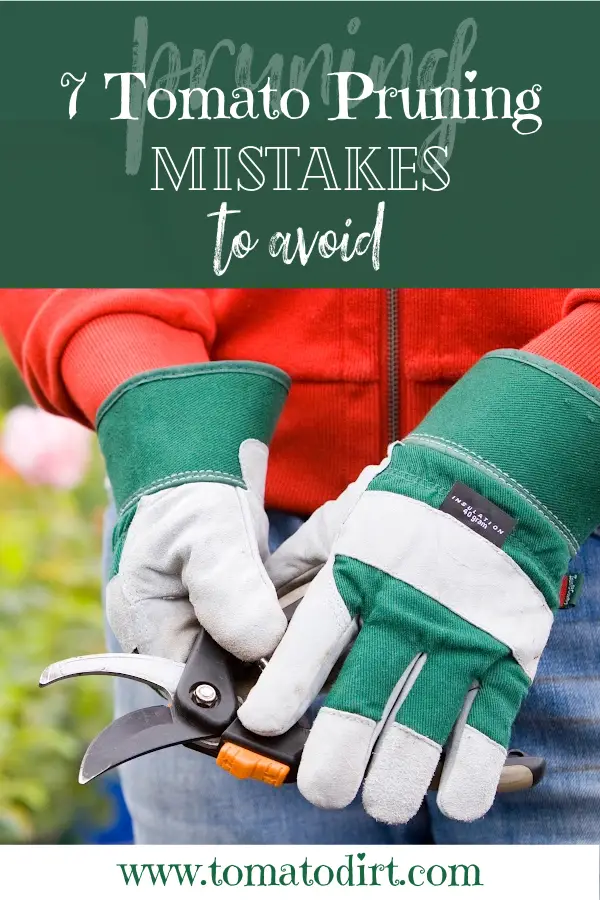 7 tomato pruning mistakes to avoid with Tomato Dirt #GrowTomatoes #HomeGardening #BackyardGardening