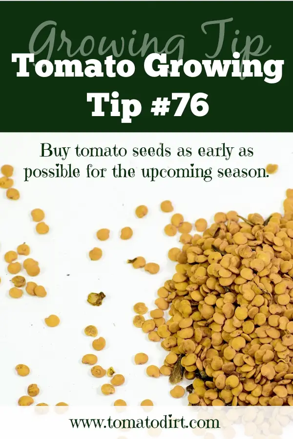Tomato Growing Tip #76: when to buy tomato seeds with Tomato Dirt #GardeningTips #HomeGarden