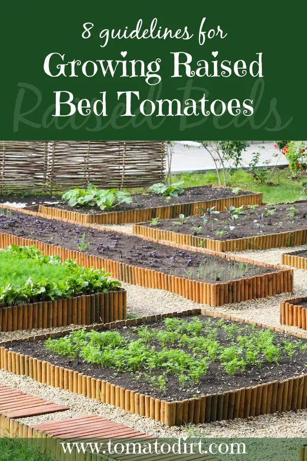 8 Guidelines for Growing Raised Bed Tomatoes with Tomato Dirt #GrowTomatoes #HomeGardening #RaisedBeds