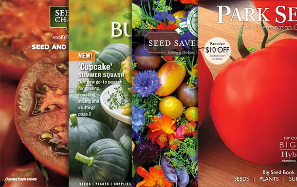 Seed catalogs courtesy of The Garden Glove via Tomato Dirt