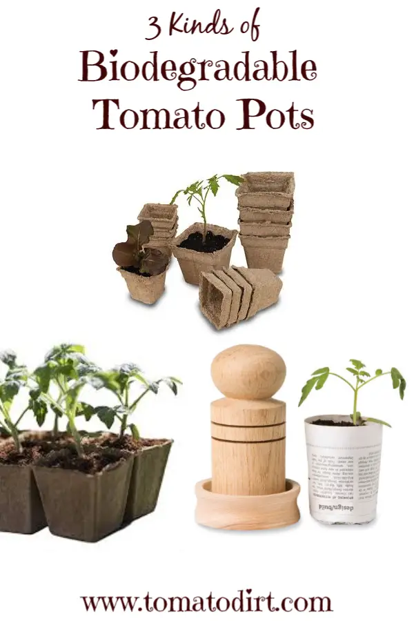 Go green! 3 kinds of biodegradable seed starting pots with Tomato Dirt #GrowingTomatoes #HomeGardening