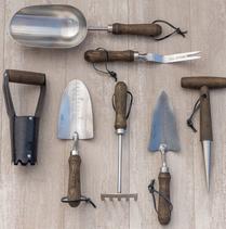 Garden Tools - Burpee Stainless Steel Weeder - Burpee