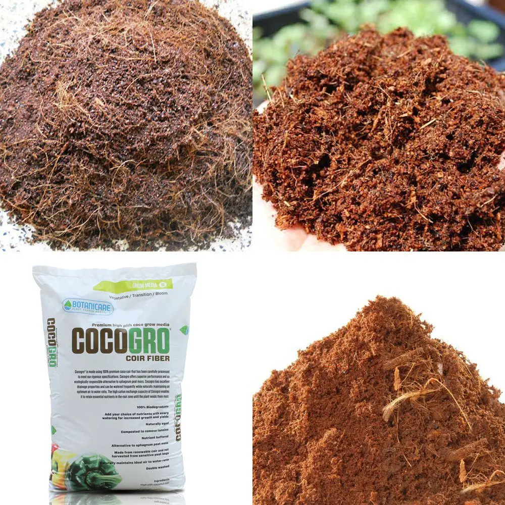 Coco coir from CocoGro with Tomato Dirt