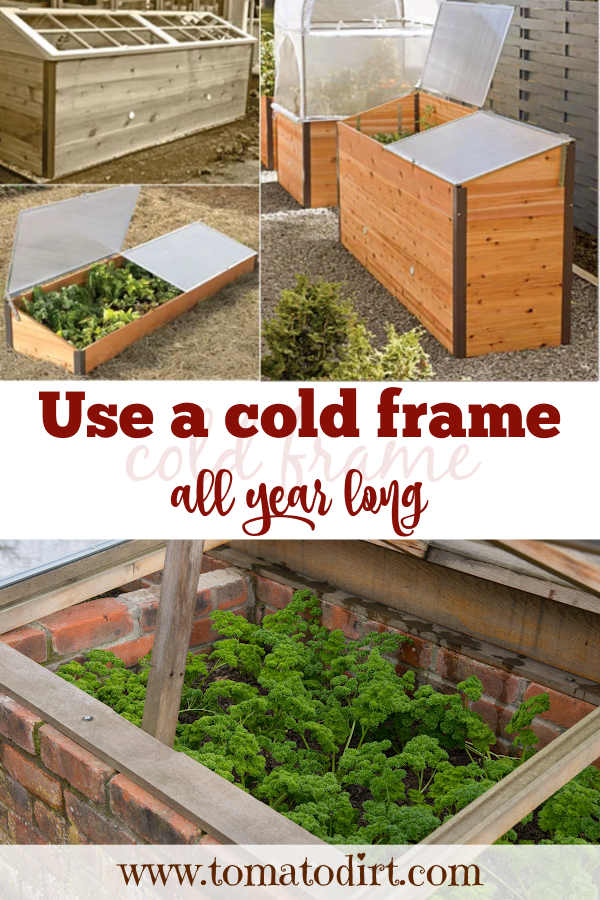 How to use a cold frame for gardening all season long with Tomato Dirt #GrowTomatoes #HomeGardening
