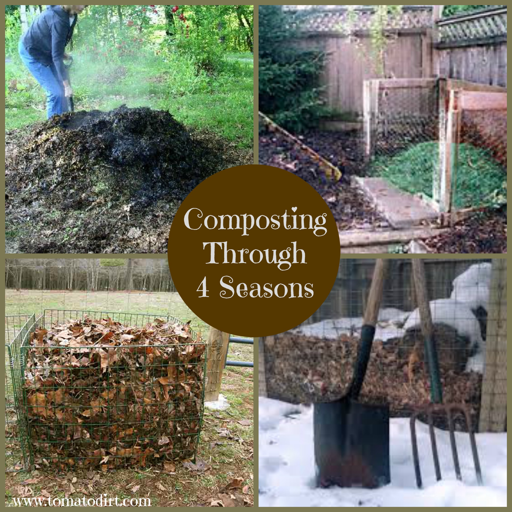 Composting through 4 seasons with Tomato Dirt