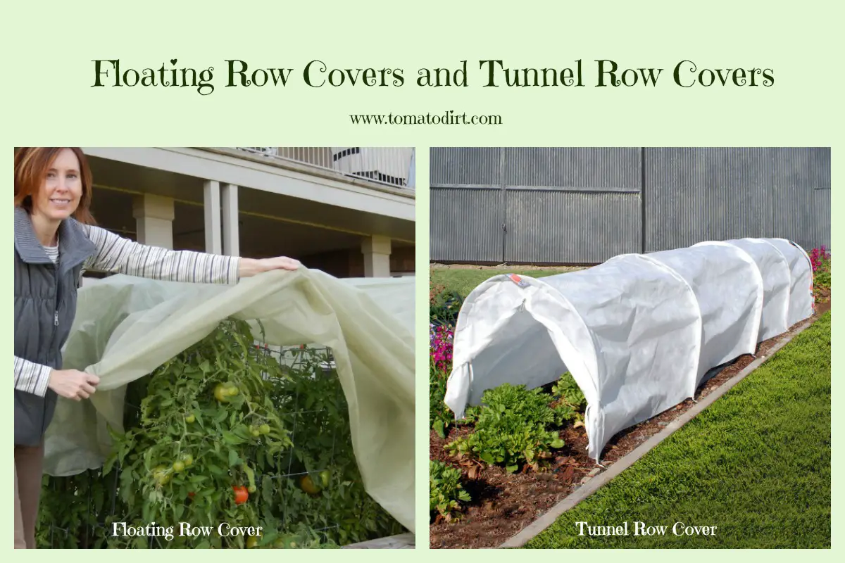 Floating row covers and tunnel row covers with Tomato Dirt