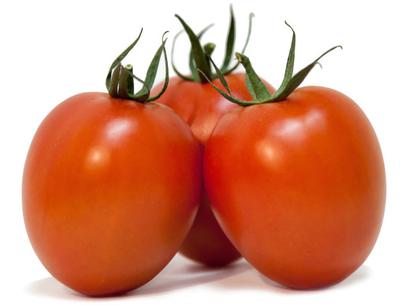 ROMA TOMATO SEEDS: Va Vd Pst Ma Mi Mj ToMV TSWV TYLCV 