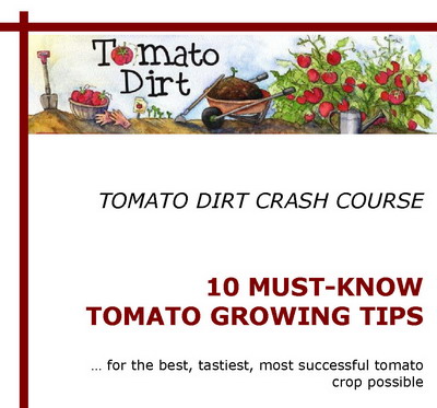 Tomato Dirt Crash Course: free report!