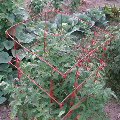 Gardener's Supply Tomato Cages with Tomato Dirt