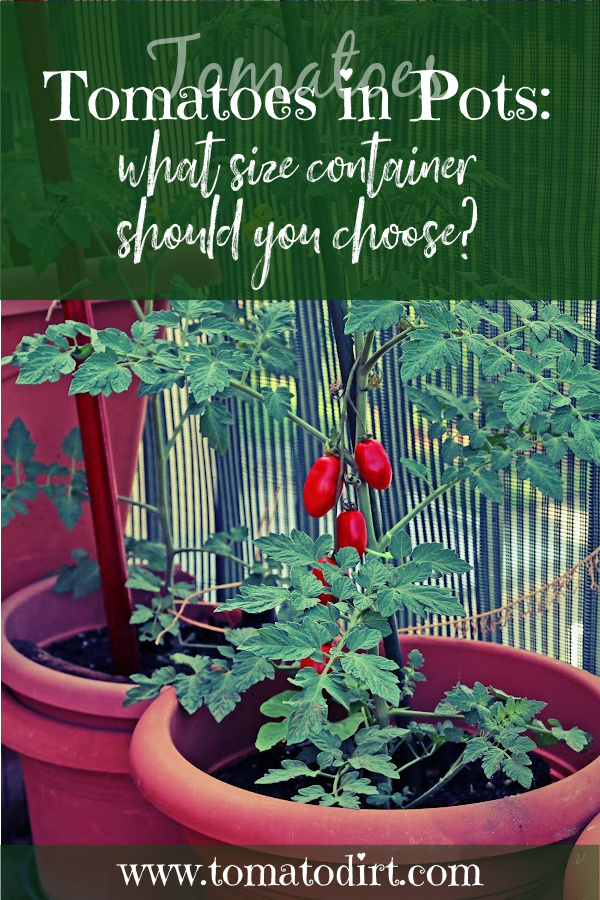 Growing tomatoes in pots: how to choose containers with Tomato Dirt #ContainerGardening #PatioGardening