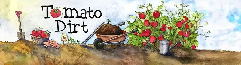Tomato Dirt