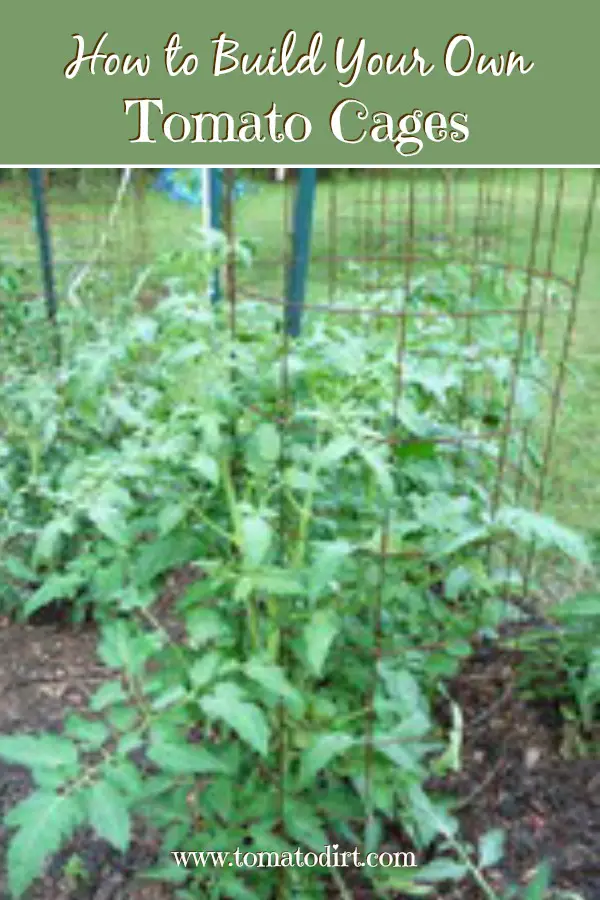 How to build tomato cages with Tomato Dirt. Great tips for staking tomatoes #TomatoGrowingTips
