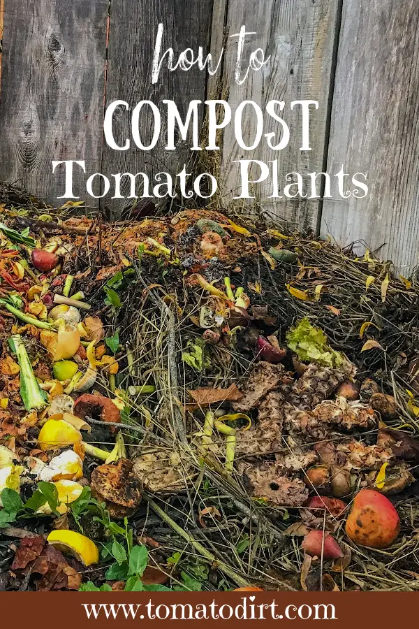 How to compost tomato plants with Tomato Dirt #Composting #GardeningTips #HomeGarden
