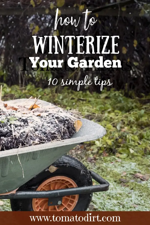 How to winterize your garden with Tomato Dirt #HomeGarden #GardenCleanUp #BeginnerGarden