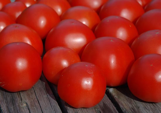 Jet Star tomatoes