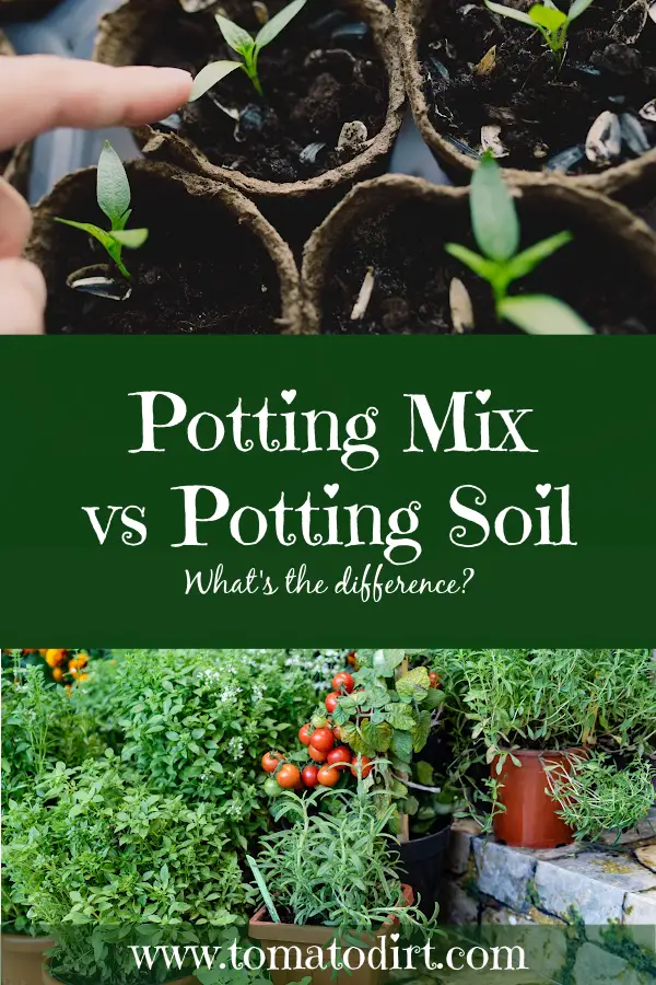 What Is the Difference Between Compost and Potting Soil?