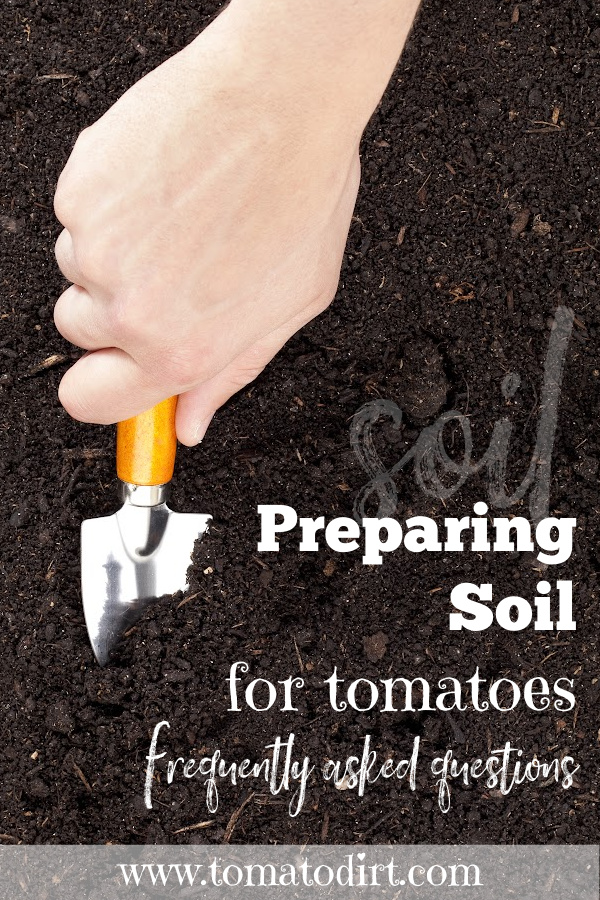 Preparing soil for tomatoes: FAQs with Tomato Dirt #GrowTomatoes #HomeGardening