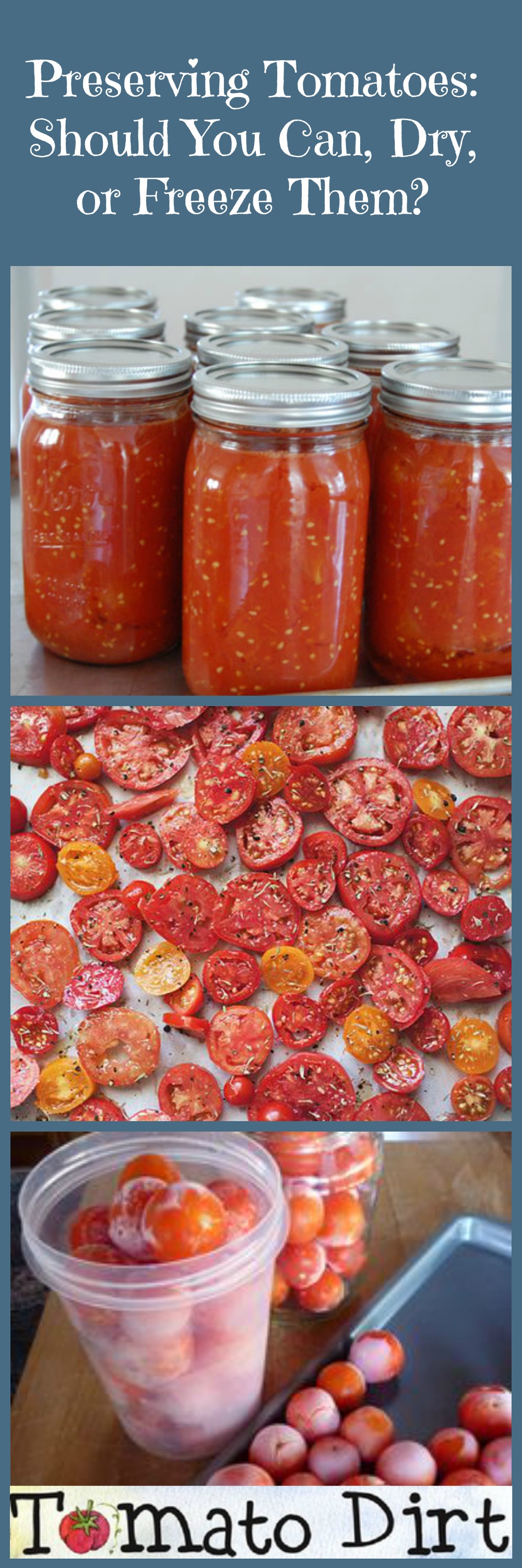 Preserving Tomatoes: should I can, dry, or freeze them? Benefits and drawbacks of each with Tomato Dirt.