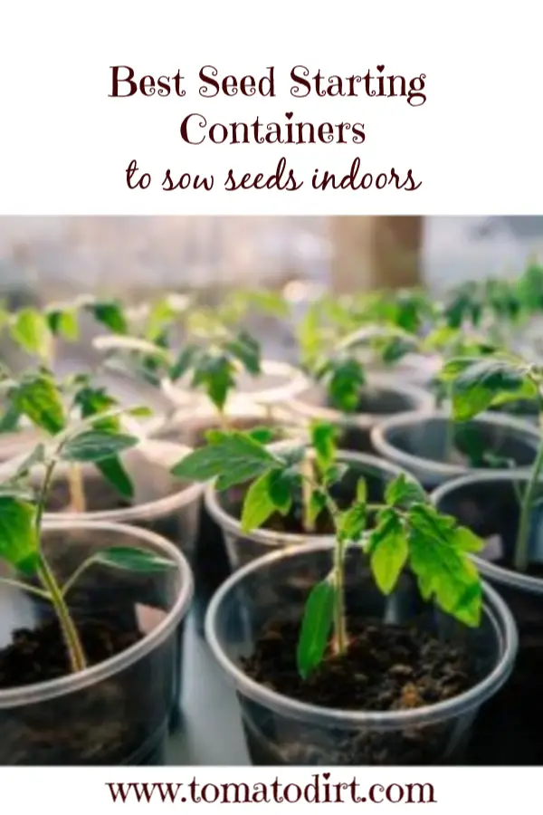 Tips for choosing tomato seed starting containers with Tomato Dirt #GrowingTomatoes #HomeGardening