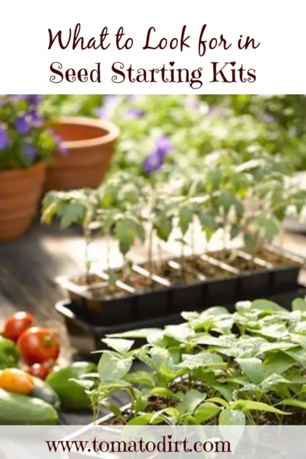 What to look for in seed starting kits for #GrowingTomatoes, vegetables, flowers with Tomato Dirt #HomeGardening #GardeningTips