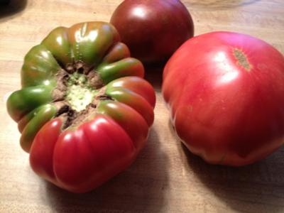 First picking of our Heirloom and Black tomatoes
