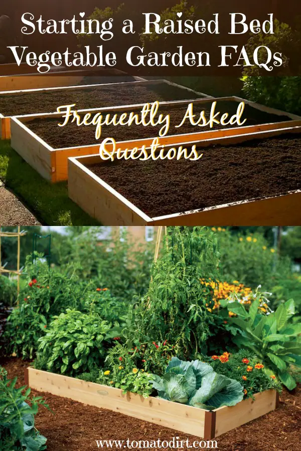 Starting a raised bed vegetable garden FAQs )Frequently Asked Questions) with Tomato Dirt