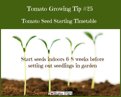 Tomato seed starting timetable with Tomato Dirt