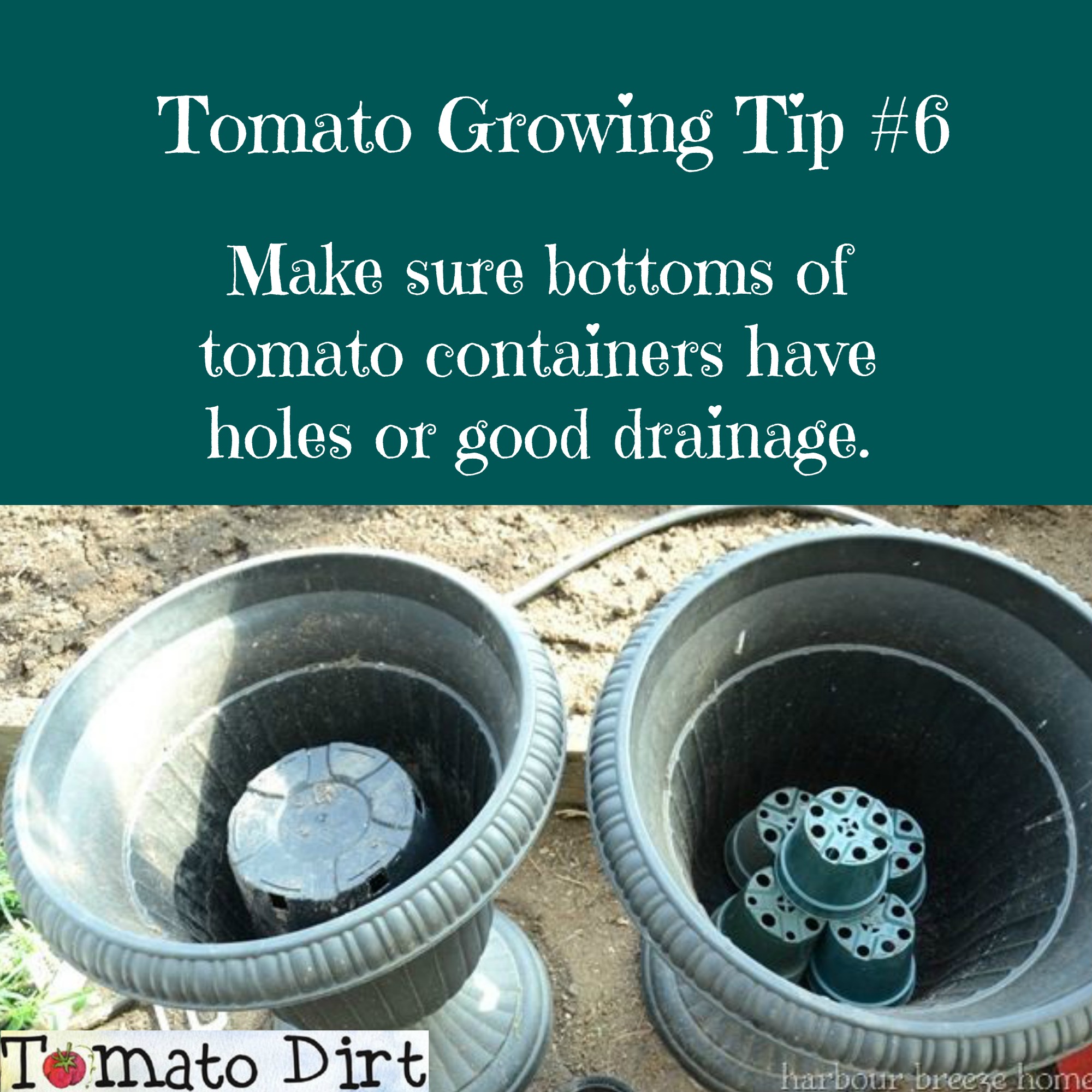 Tomato Growing Tip #6: make sure tomato containers have holes for drainage with Tomato Dirt