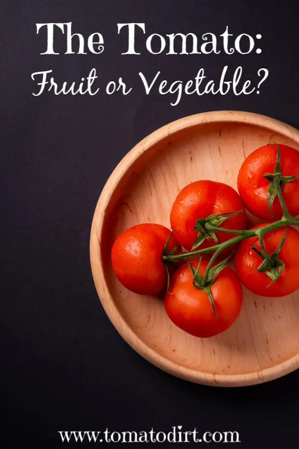 The Tomato: is it a fruit or vegetable? With Tomato Dirt